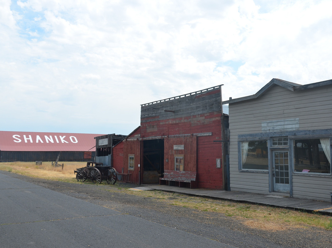 Ghost Town Gulch-Shaniko必去景点