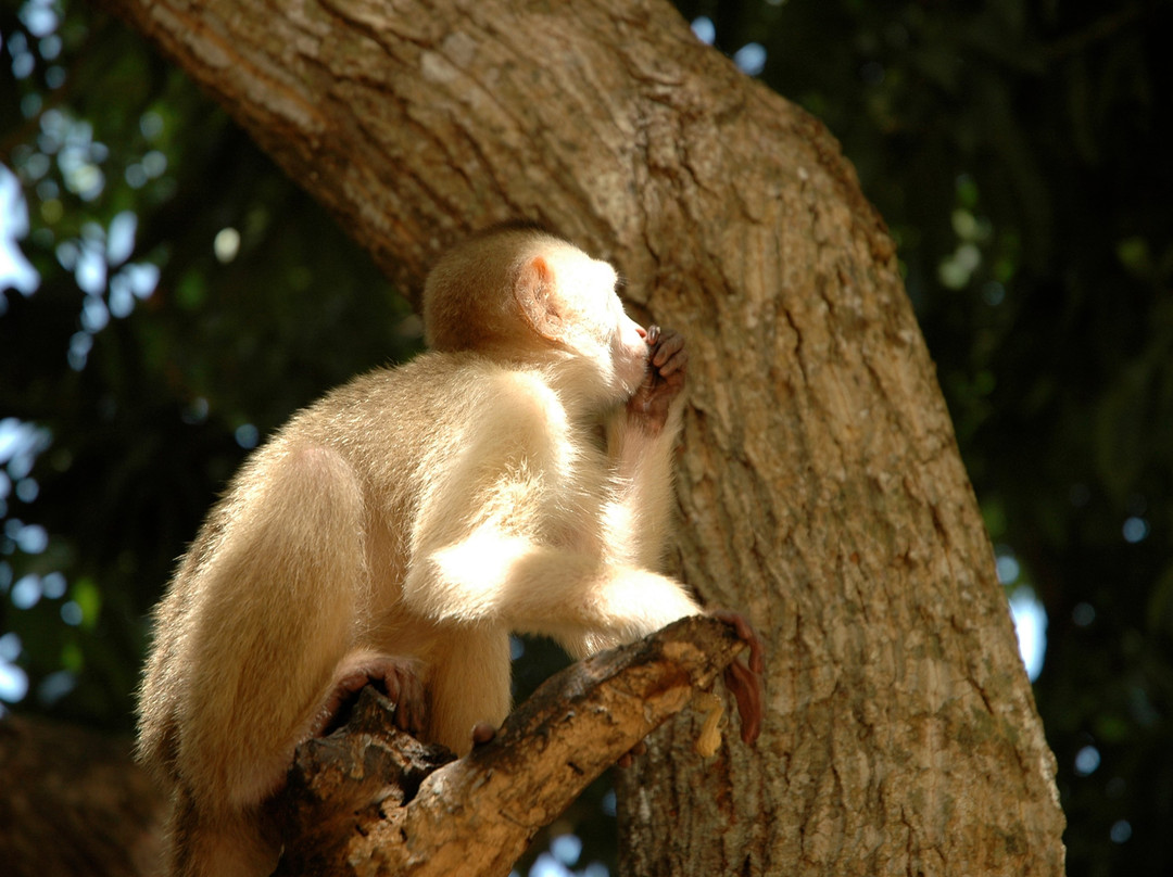 Canaima Expeditions & Tours景点图片