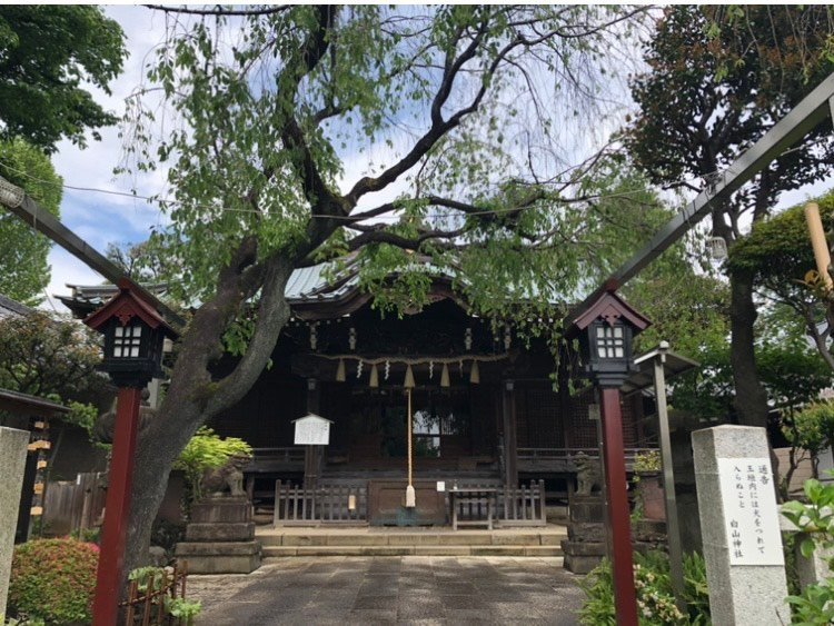 白山神社景点图片