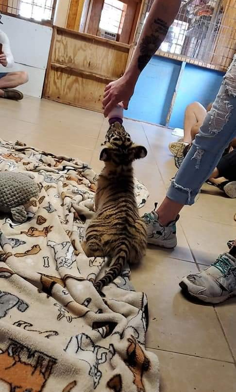 Greater Wynnewood Exotic Animal Park-Wynnewood必去景点