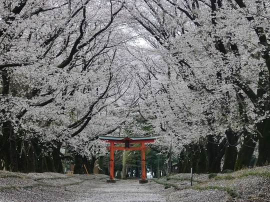 Higashifukida Temman-sha-八千代町必去景点
