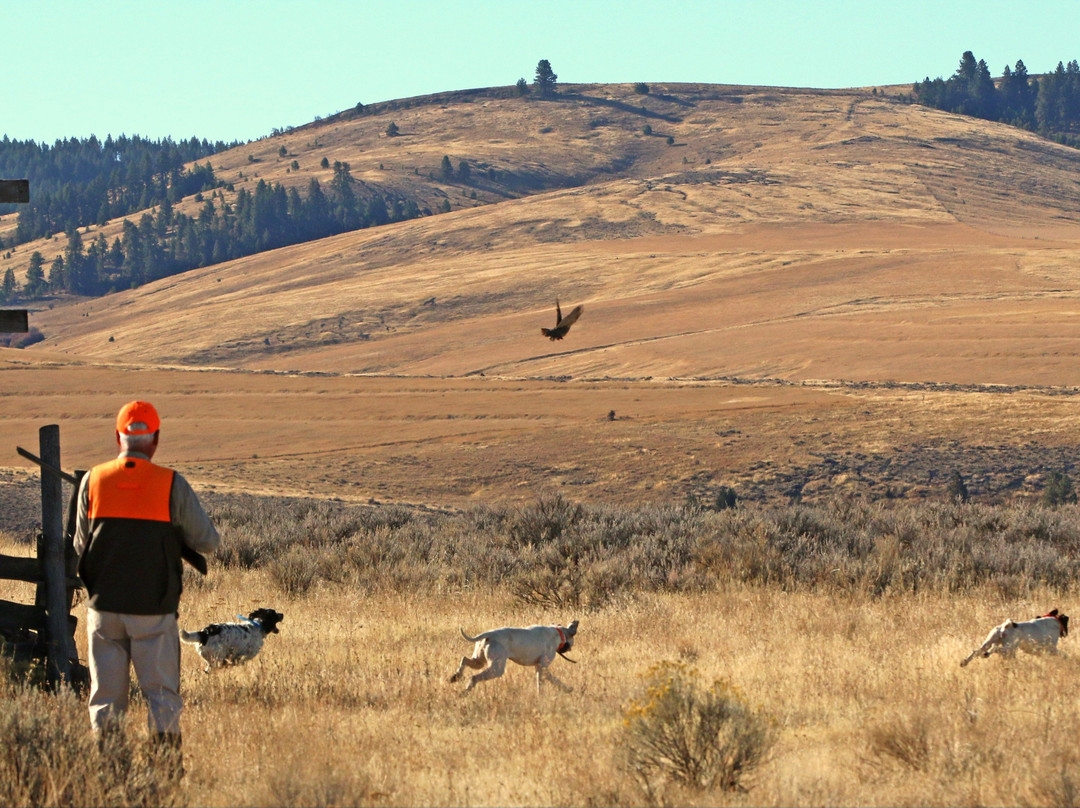 Ruggs Ranch Hunting Preserve-Heppner必去景点
