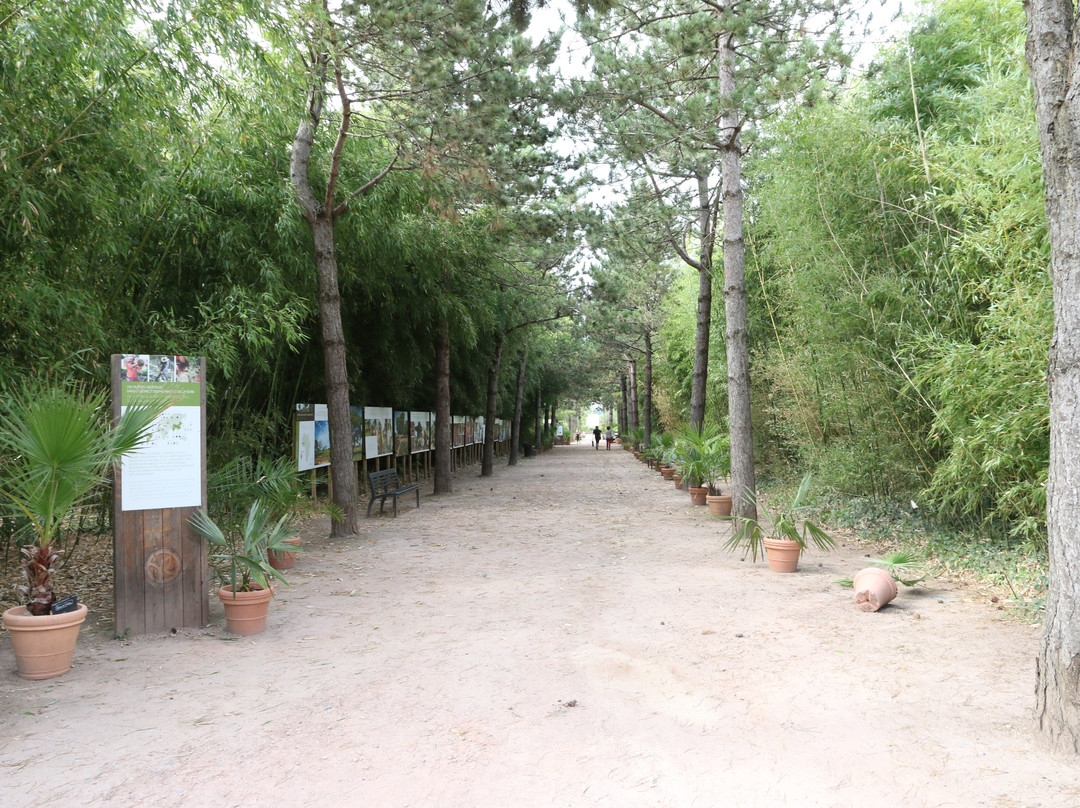 Jardin Botanique景点图片