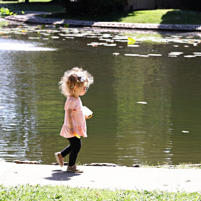 William Land Park-沙加缅度必去景点