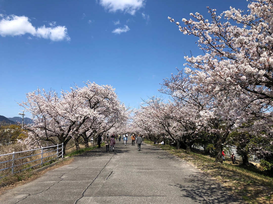 Sumiyoshi Embankment景点图片