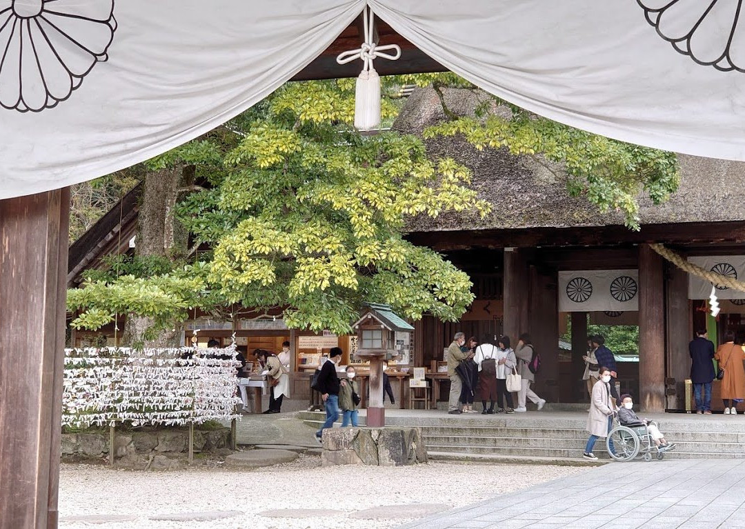 Motoise Konojinja Shrine-宫津市必去景点