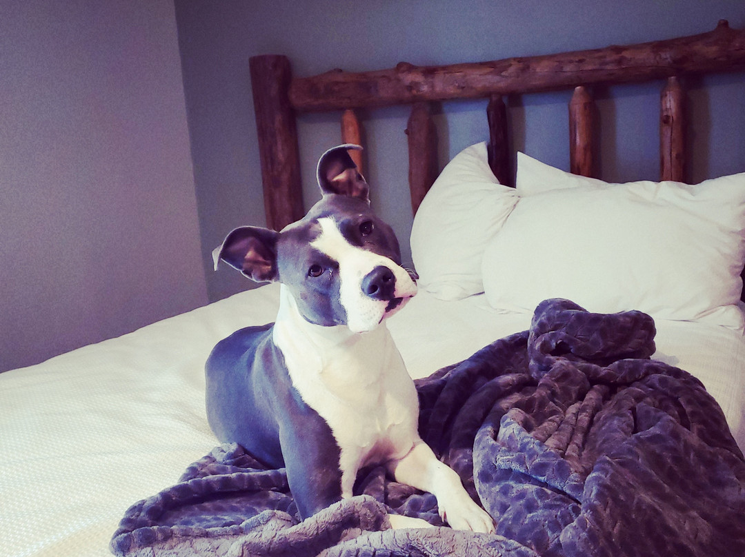 Evergreen Motel主图