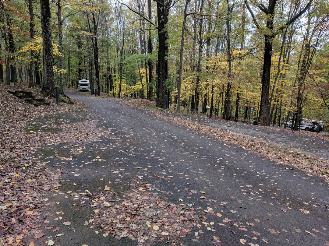 Peaks of Otter Campground