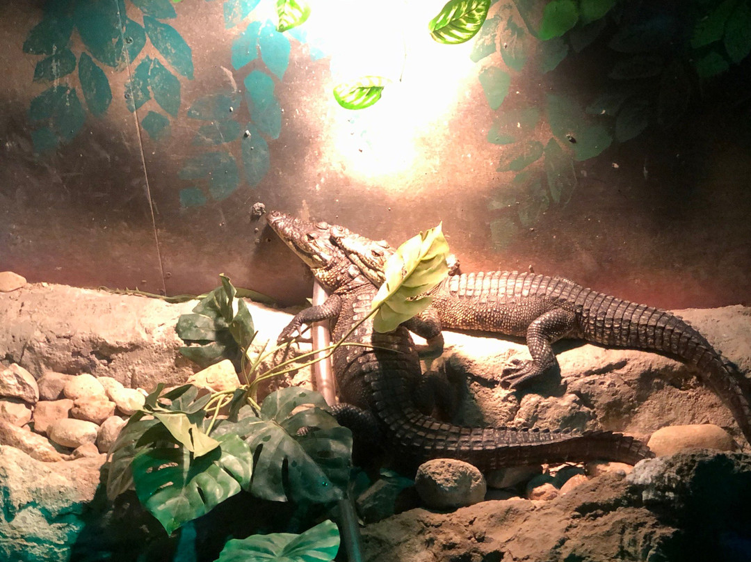 Acuario del Bajio-利昂必去景点