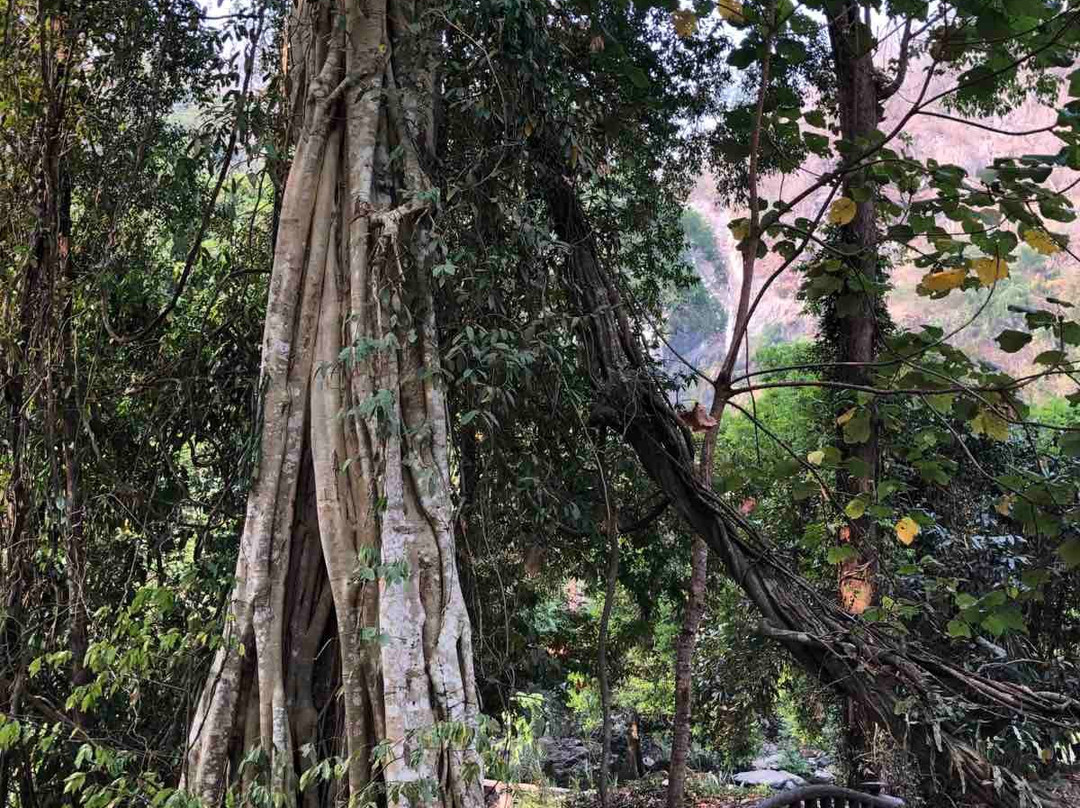 Khlong Lan National Park景点图片