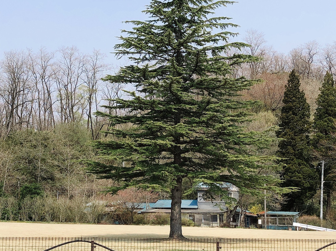 Kurihara Den'en Railway Line Sawabe Station Ruins-栗原市必去景点