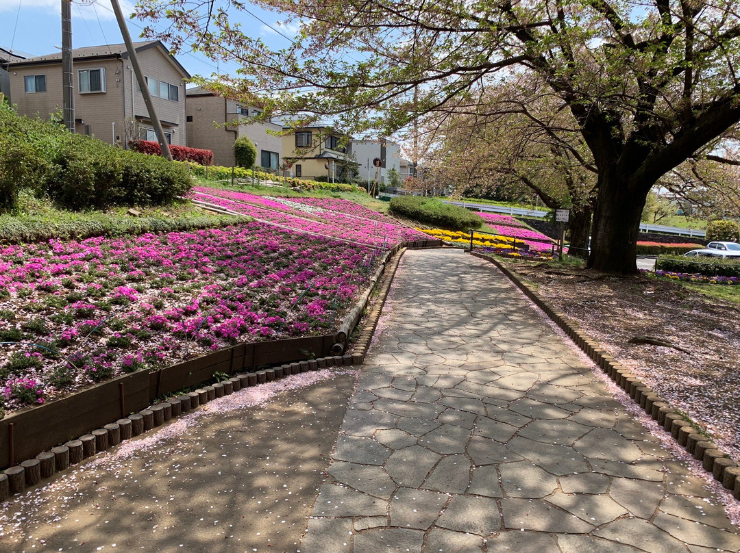 Kanigasawa Park-座间市必去景点