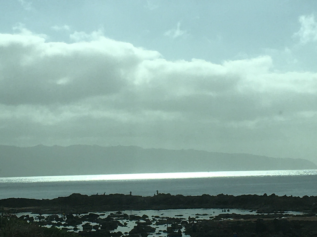 普普科亚海滨公园-哈雷瓦必去景点