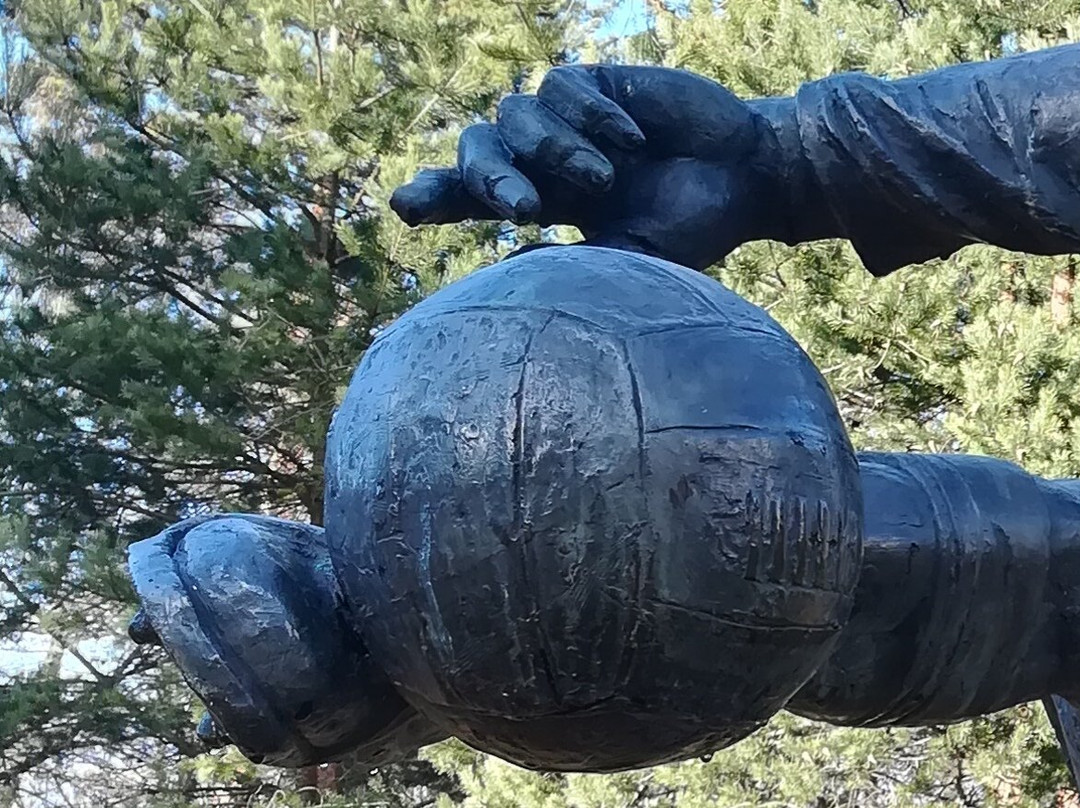 Monument to Vsevolod Bobrov景点图片