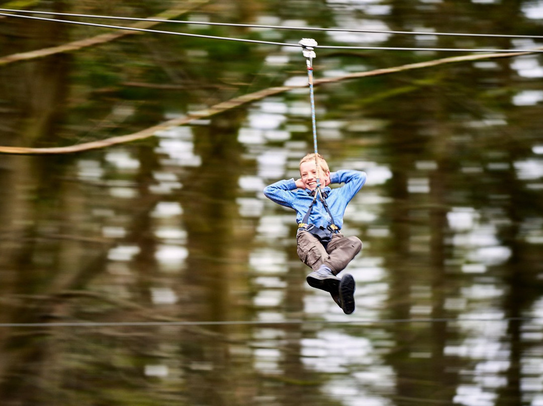 Go Ape Zipline & Adventure Park景点图片