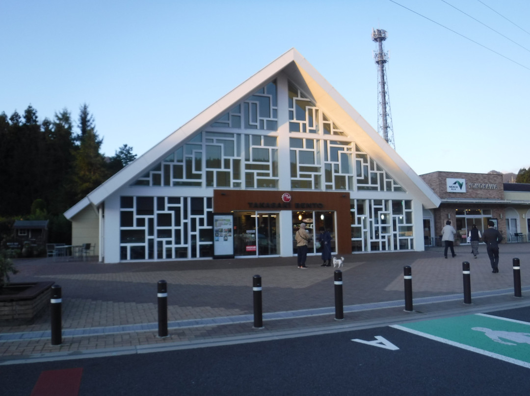Yokokawa Service Area Outbound-安中市必去景点