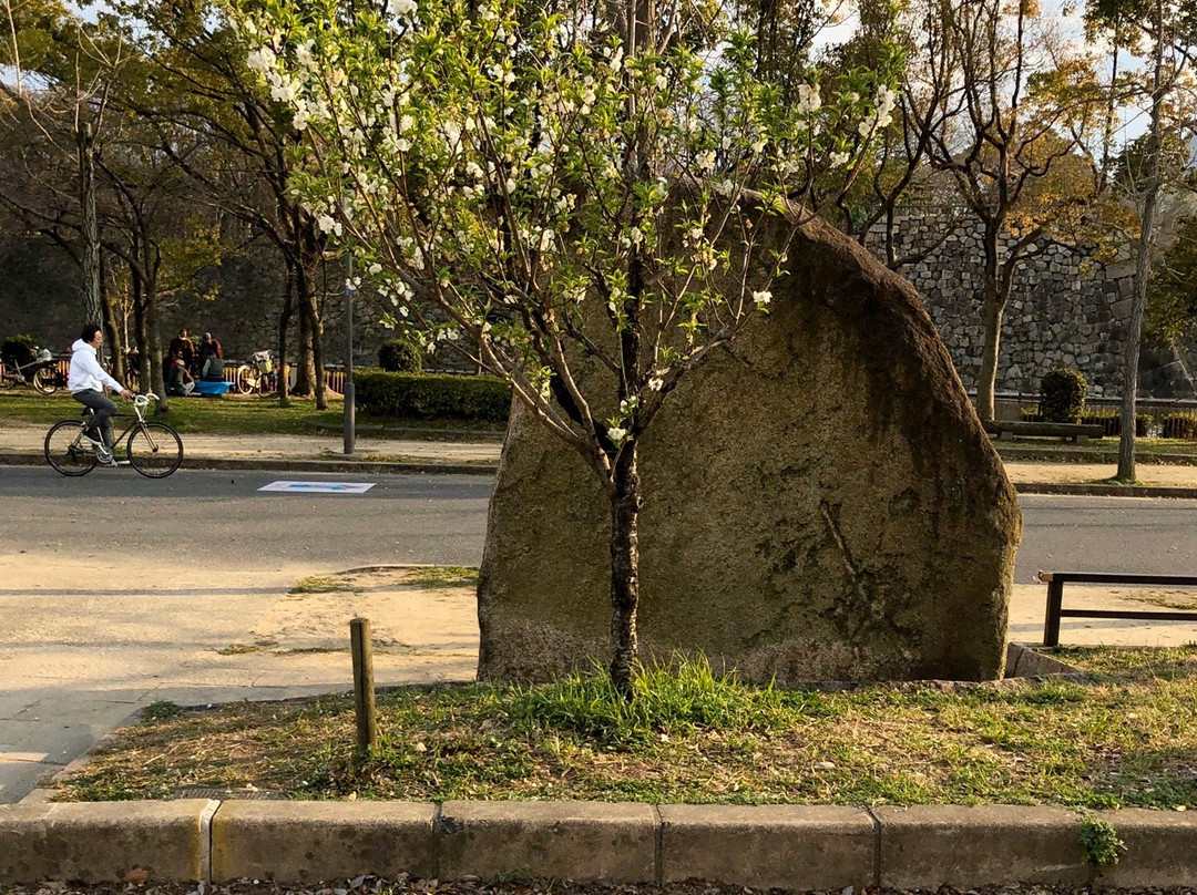 Osaka Castle Peach Grove景点图片