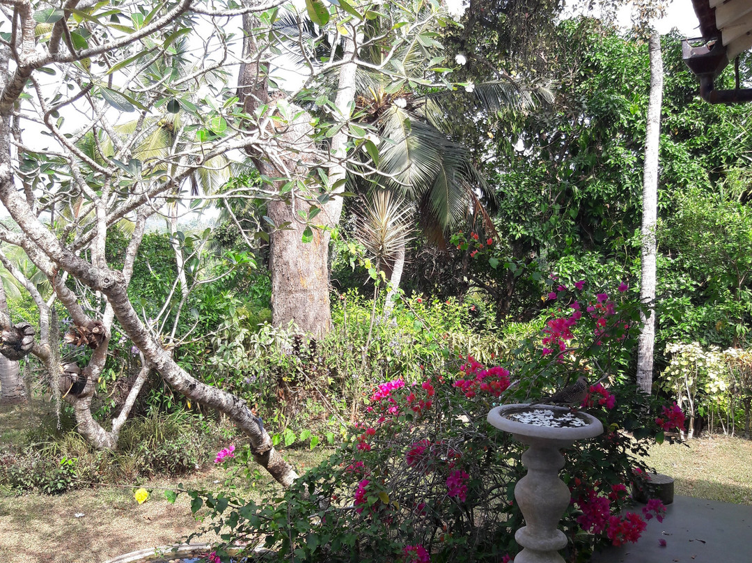 圣殿山酒店主图