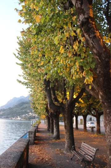 Lungolago-Sale Marasino必去景点