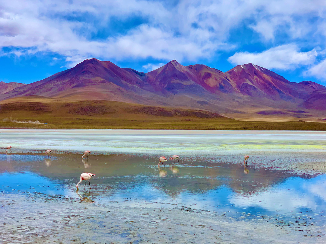 Laguna Hedionda-乌尤尼必去景点