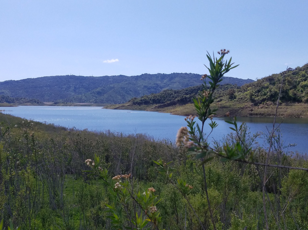 Lake Casitas Recreation Area景点图片