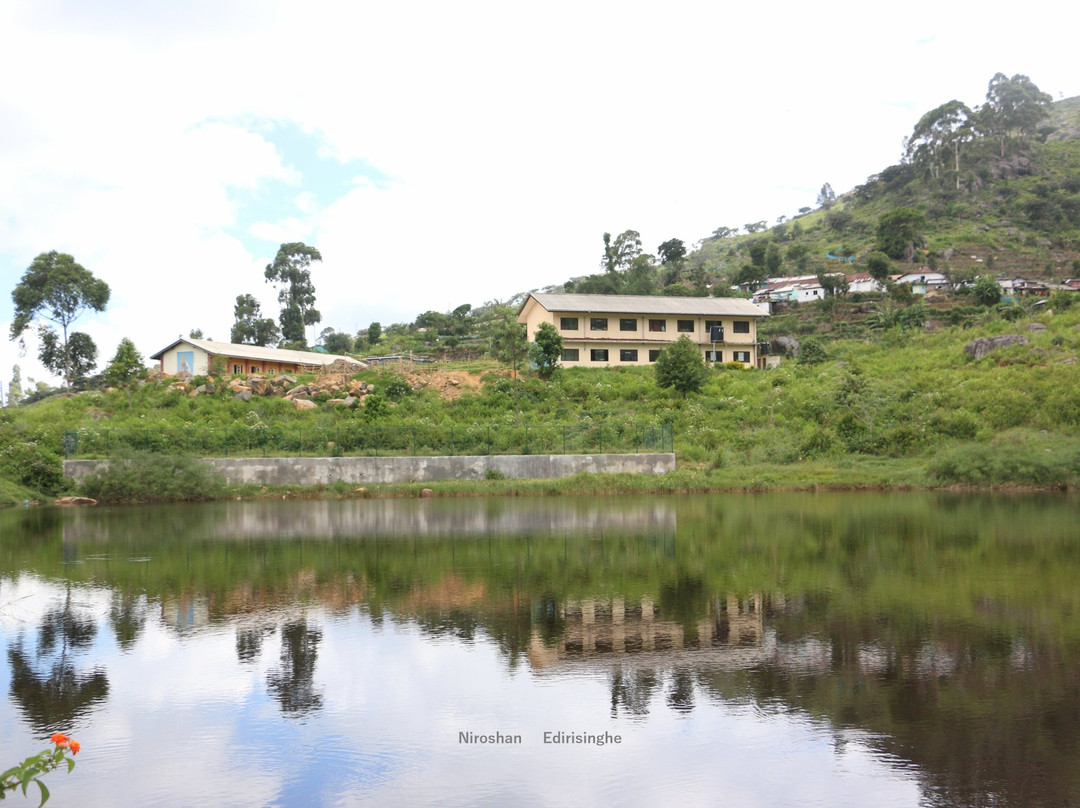 Lake Richmond-哈普特莱必去景点