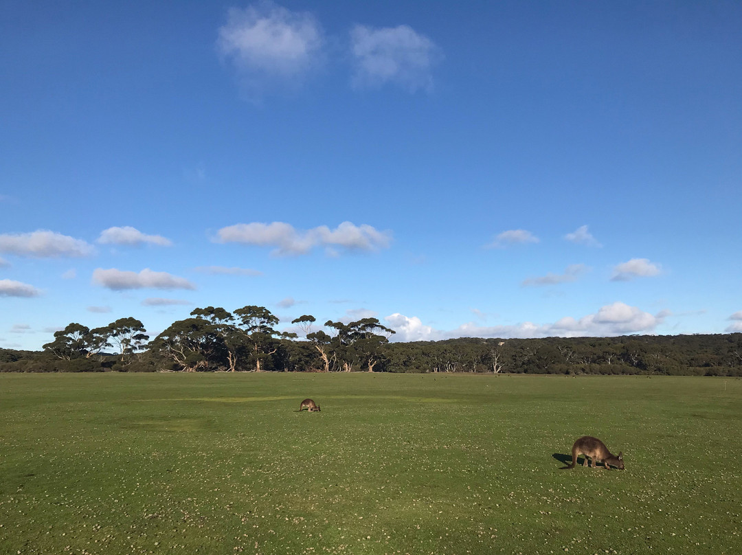 Kangaroo Island Wilderness Tours-袋鼠岛必去景点