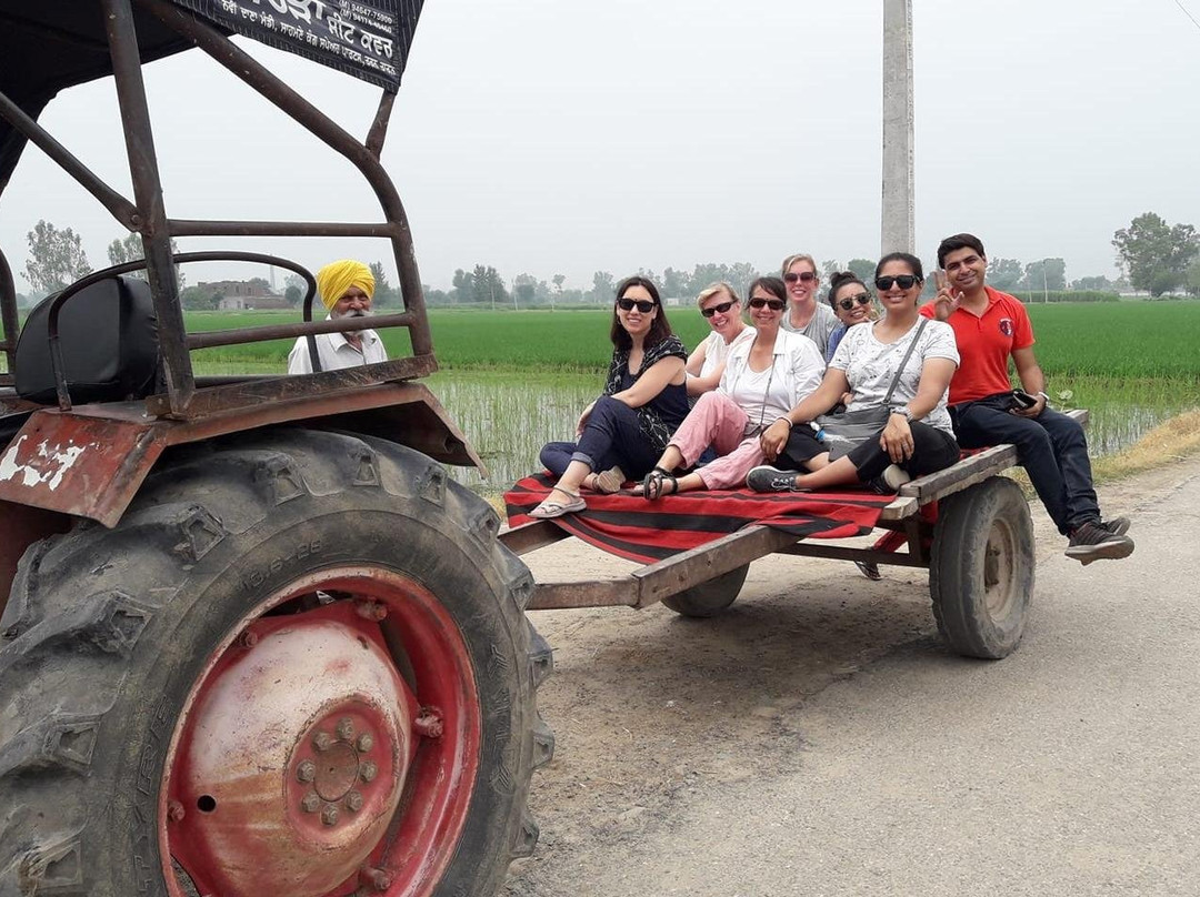 Rare Punjab - Amritsar Village Tours-阿姆利则必去景点