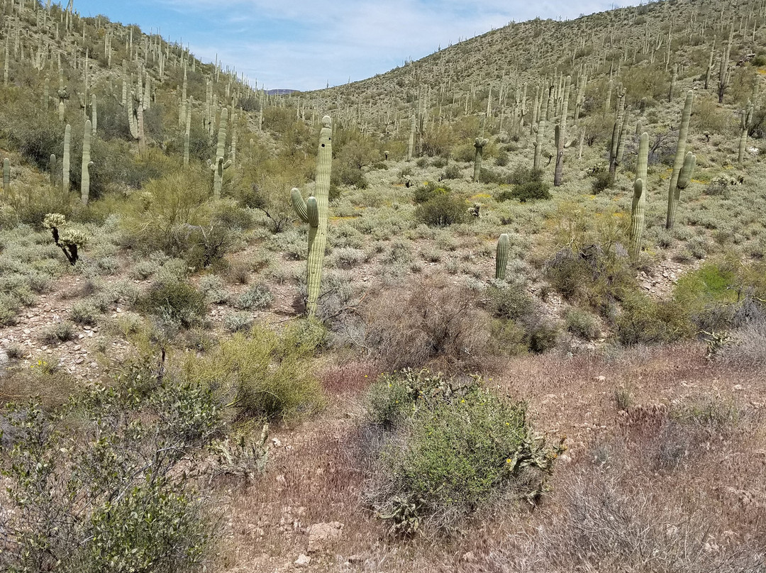 MTM Ranch-洞溪必去景点