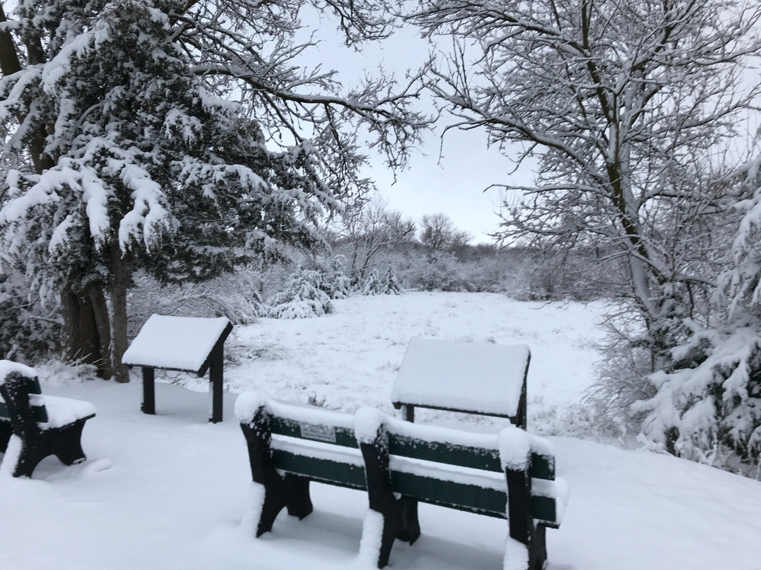 Hike-Bike Trail Bridge-卡尼必去景点