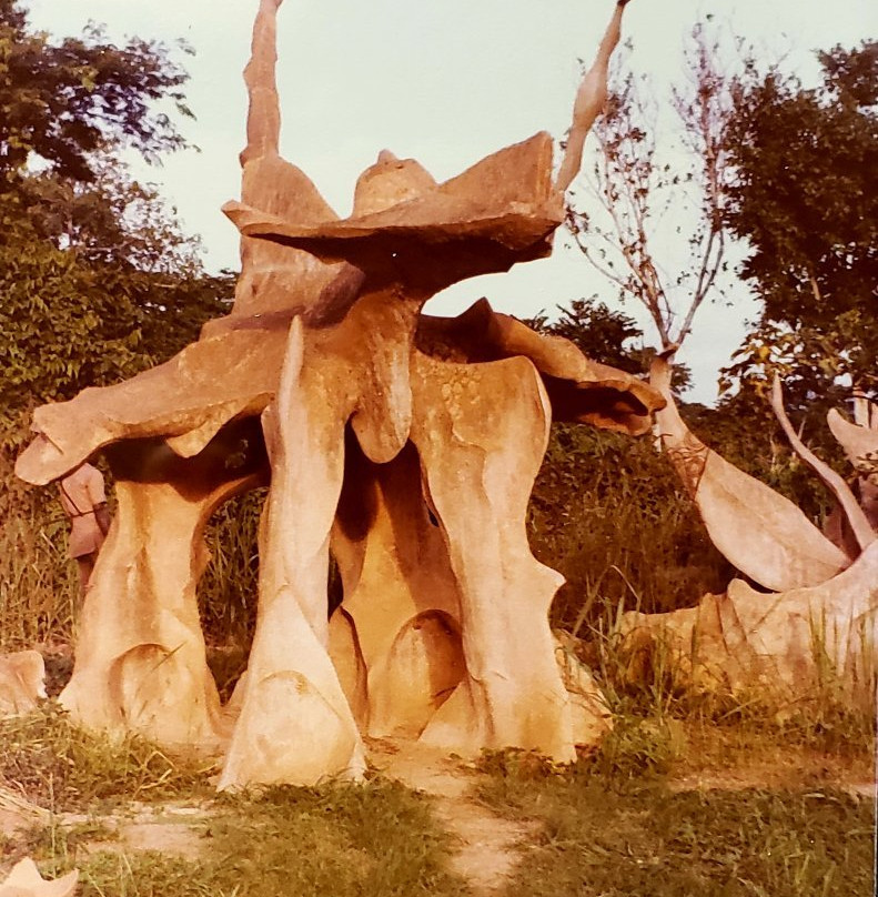Osun-Osogbo Sacred Grove景点图片