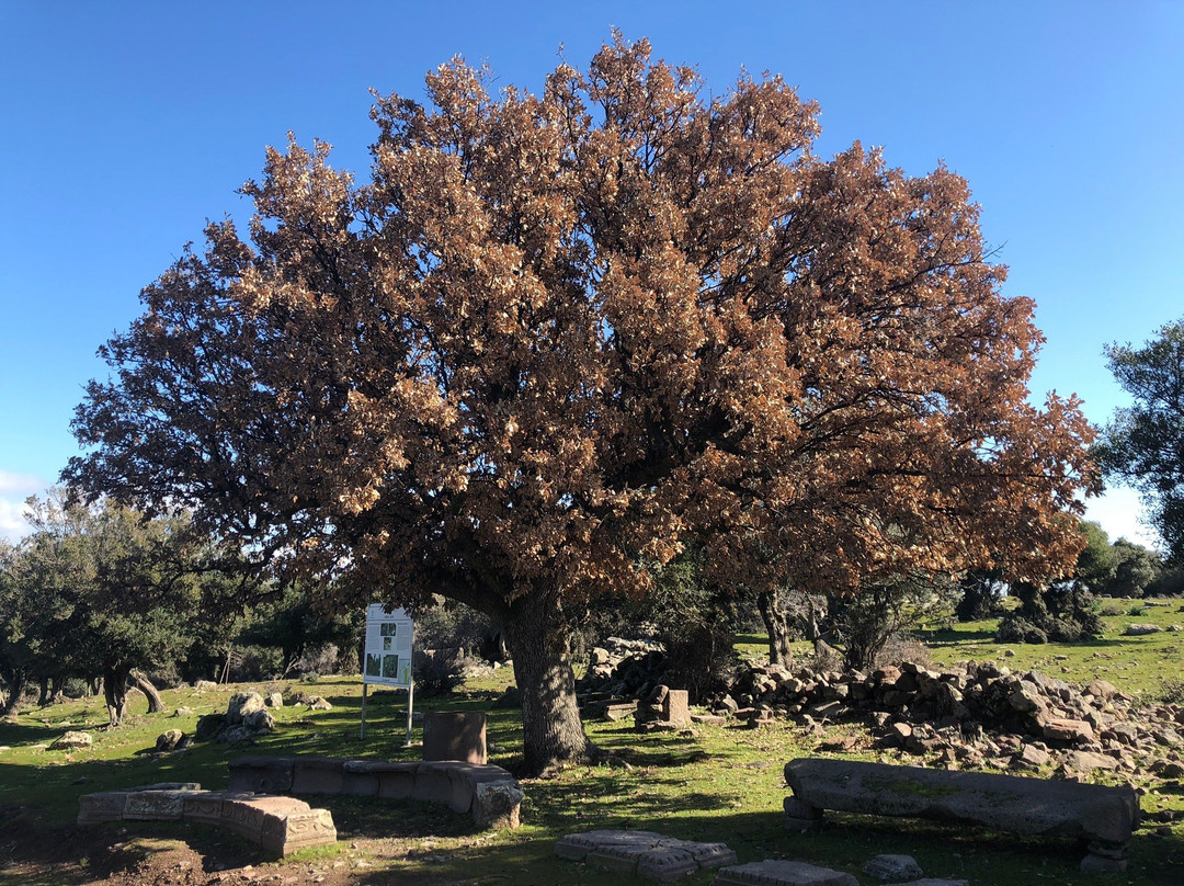 Aigai Ancient City-Manisa必去景点