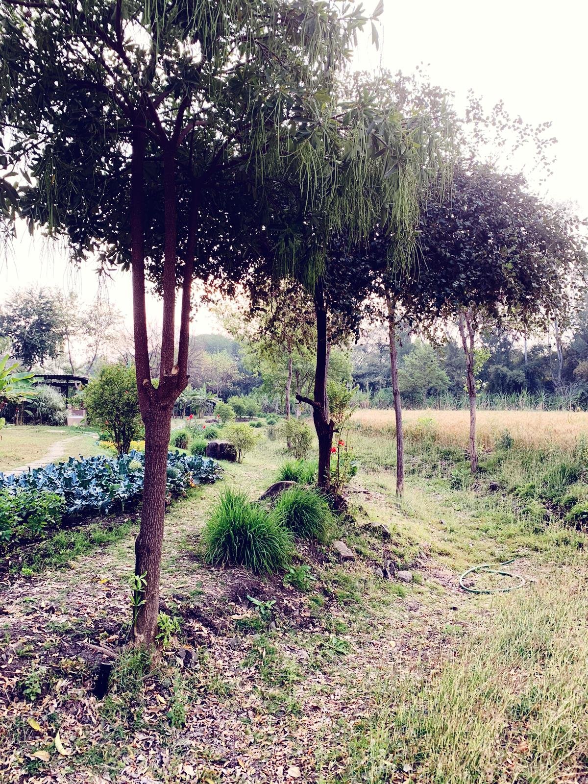 Jehan Numa Retreat-浴室