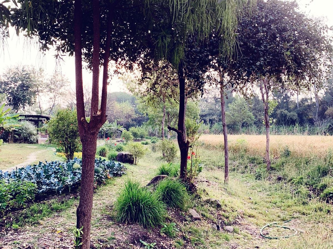 Jehan Numa Retreat主图