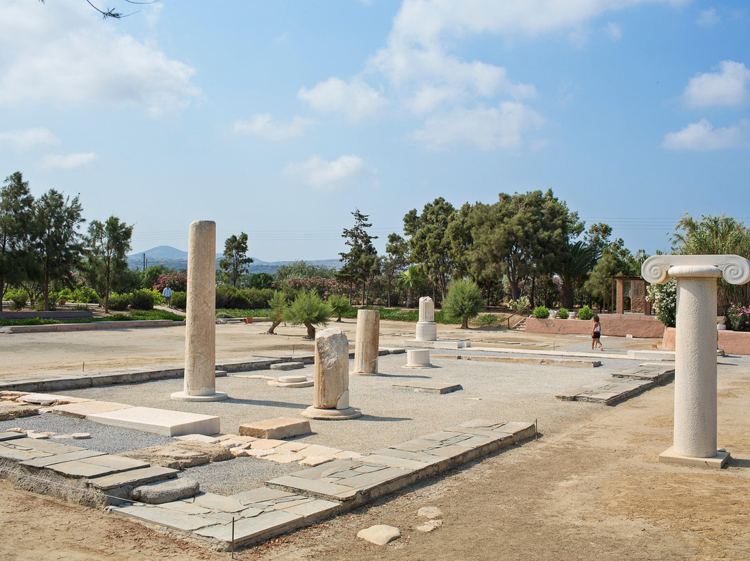 Naxos Travel Agency景点图片