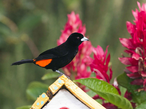 Coliving la Boira主图