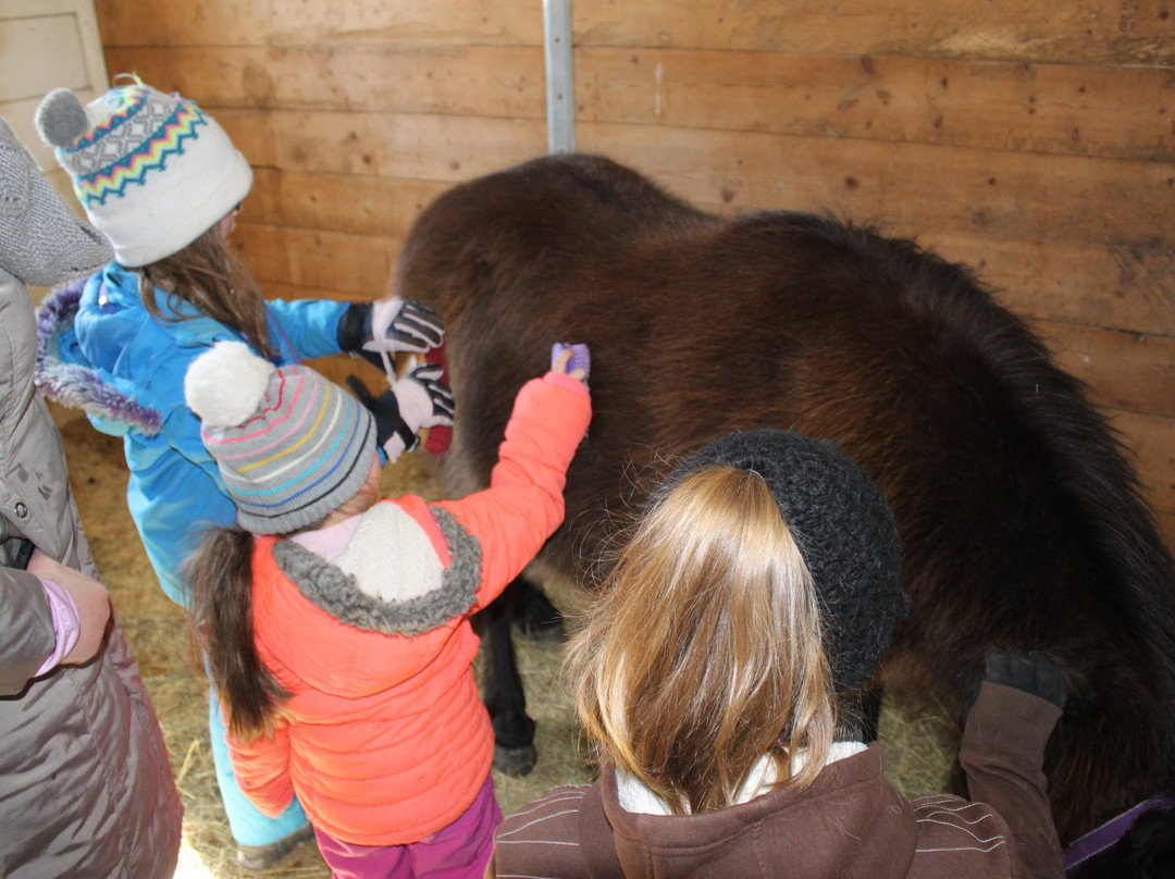 Back of Beyond Equine Centre-亨茨维尔必去景点