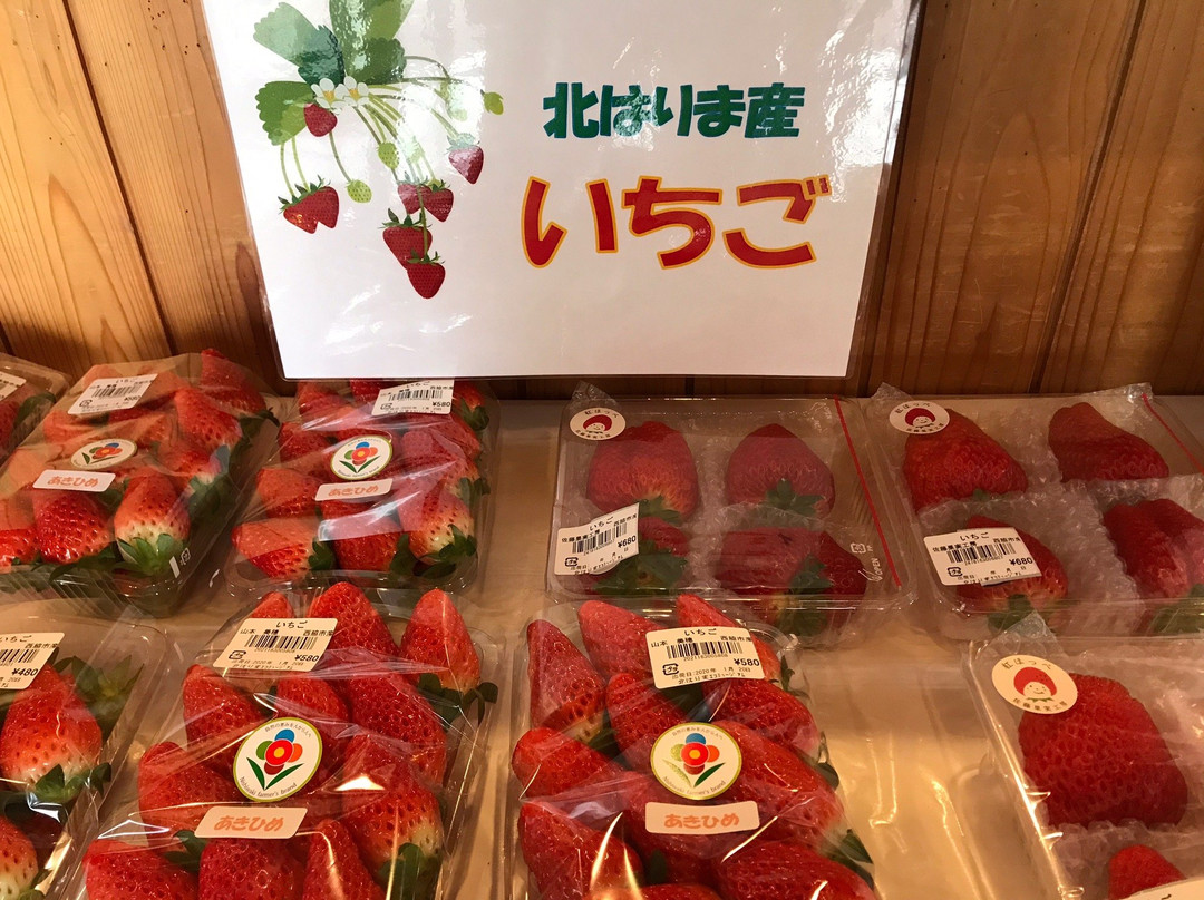 Michi-no-Eki Kitaharima Eco-Museum-西胁市必去景点