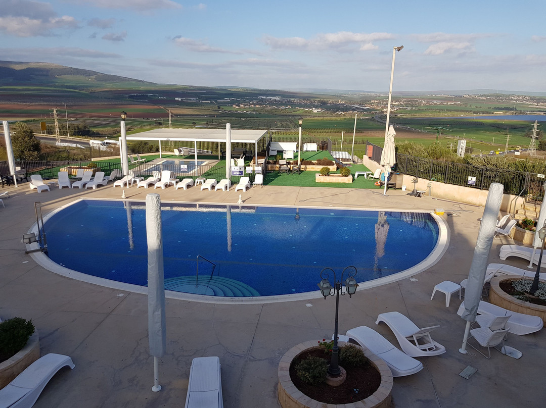 Olive Gilboa Mountain主图