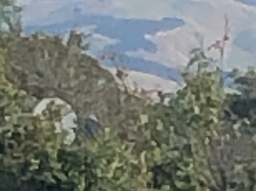 Drovers Motor Inn主图