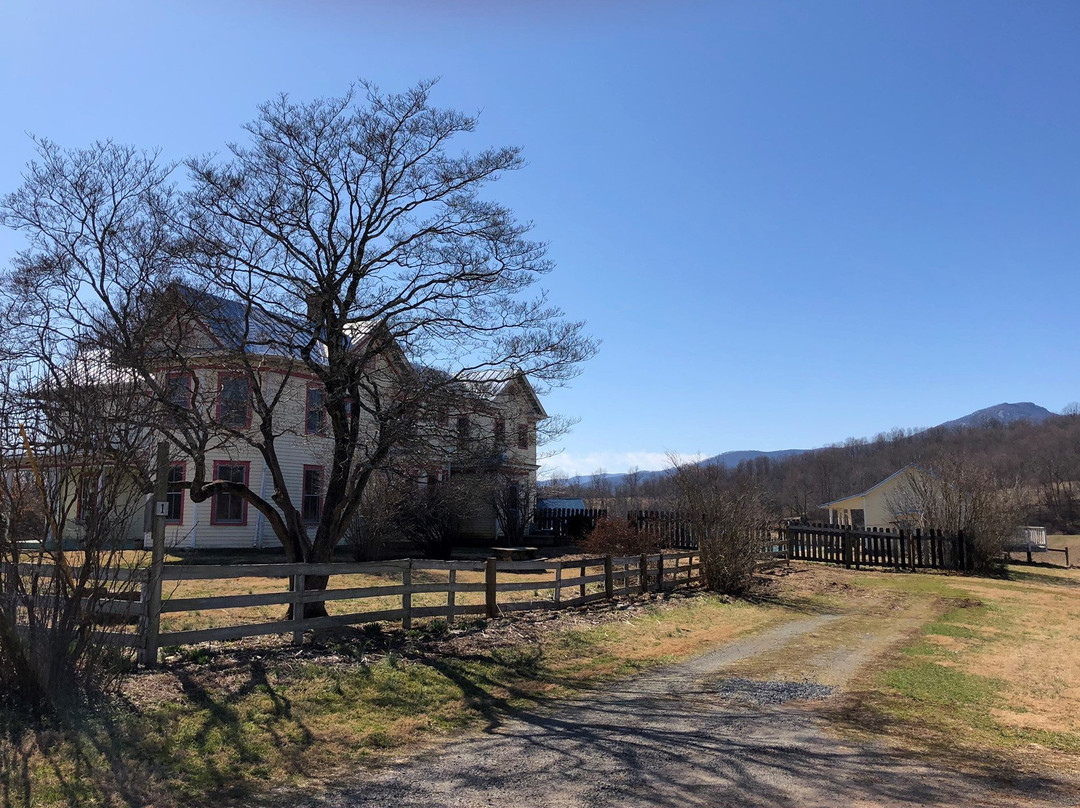 Belle Meade Bed and Breakfast主图