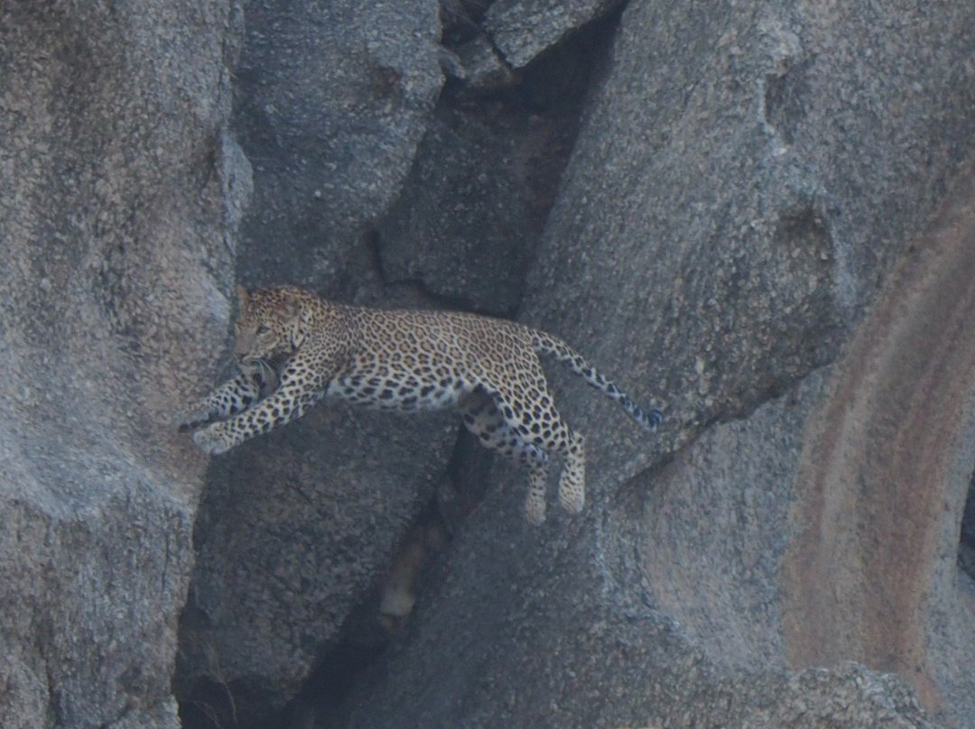Leopard Hills-Bera必去景点