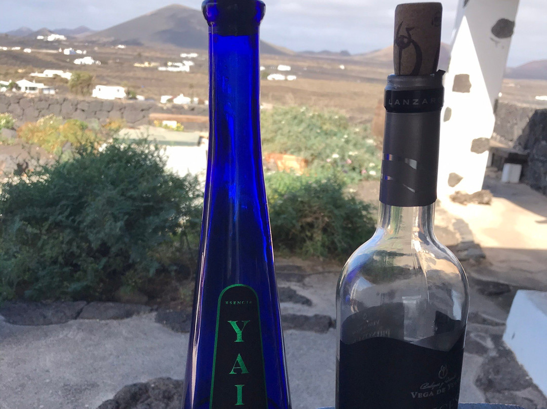 Wine Tours Lanzarote景点图片