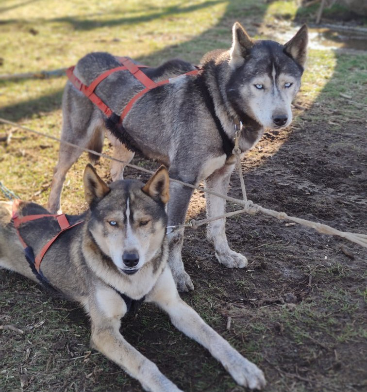 Cantal Mushing-Pailherols必去景点