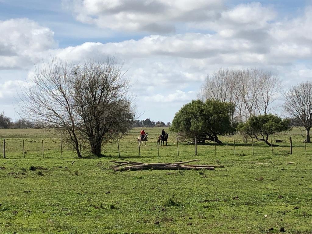 La Horqueta Ranch-家庭/游戏区