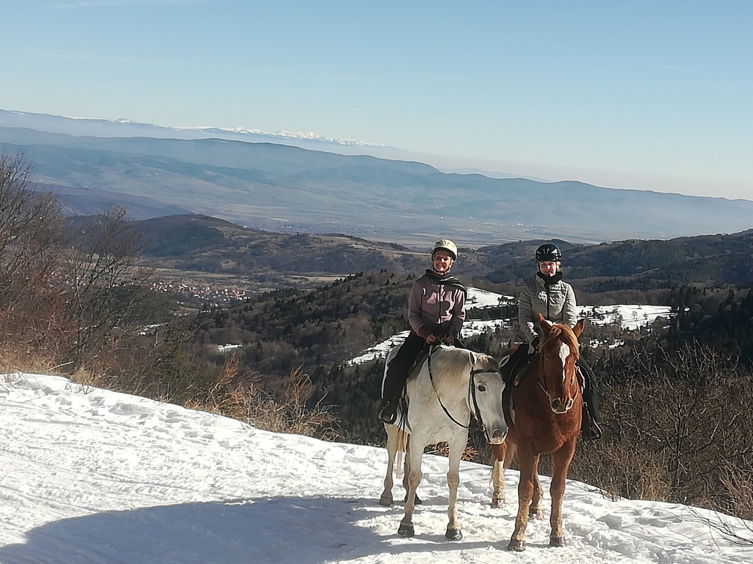 Horse Riding With Butch景点图片