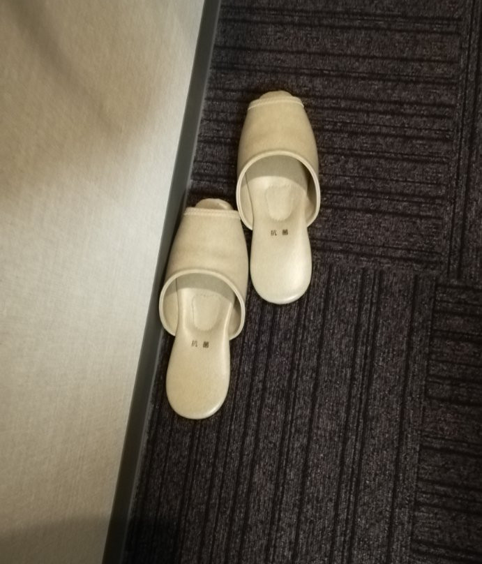 Hotel Coonel Inn主图