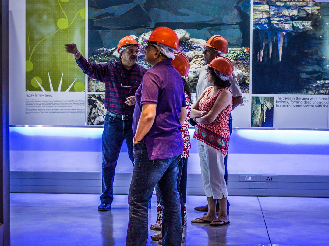 The Evoque Group-约翰内斯堡必去景点