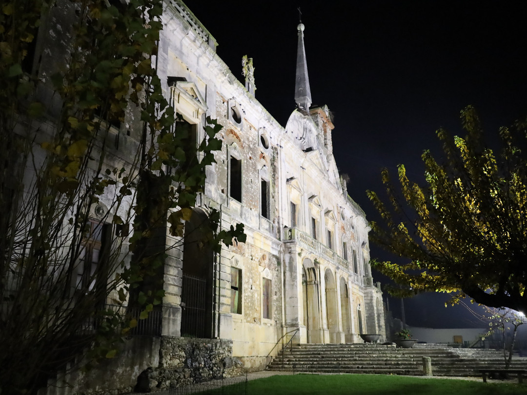 Palacio Manique do Intendente景点图片
