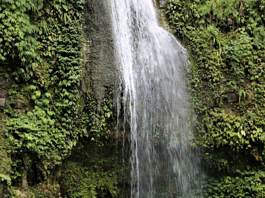 Siberut National Park景点图片